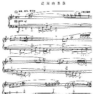 手风琴谱 | 辽阔的草原 张新化