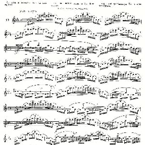 长笛曲谱 | 12首大技巧练习曲之10 Moyse 莫伊斯