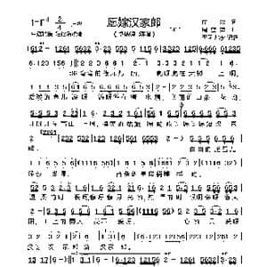 愿嫁汉家郎_歌曲简谱_词曲:庄奴 周蓝萍