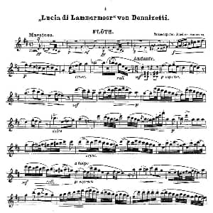 长笛曲谱 | Opern Transcriptionen.Op.45 6