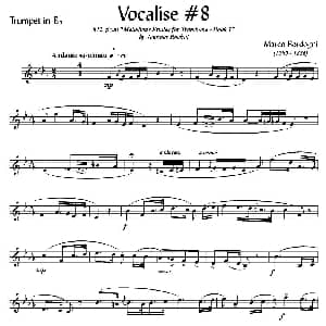 Bordogni Vocalise #8 小号 Marco Bordogni