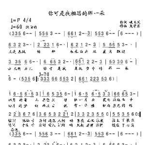 你可是我相思的那一朵_歌曲简谱_词曲:姚玉凤 吴学君