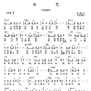 野花_通俗唱法乐谱_词曲:田震 刘利君
