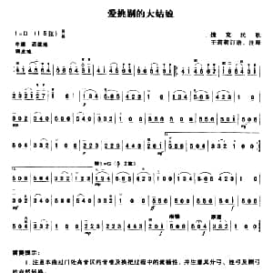 二胡谱 | 爱挑剔的大姑娘 捷克民歌 王莉莉订谱