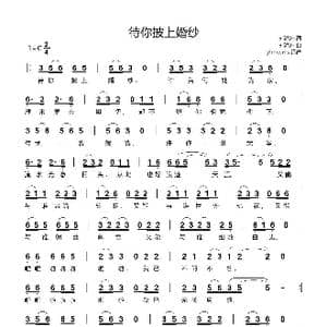 待你披上婚纱_歌谱投稿_词曲:刘海东 刘海东