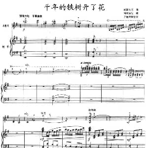 小提琴谱 | 千年的铁树开了花 小提琴 钢琴 尚德义原曲 阿克俭改编
