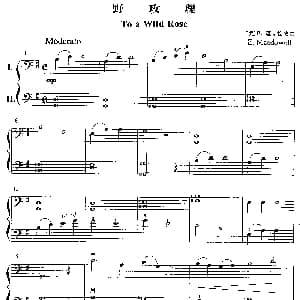 野玫瑰 大提琴二重奏 美 E 迈克杜威尔