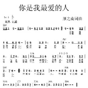 你是我最爱的人_通俗唱法乐谱_词曲:雁之南 雁之南