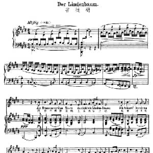 菩提树 奥地利 _外国歌谱_词曲: 奥 威廉 缪勤 奥 舒伯特