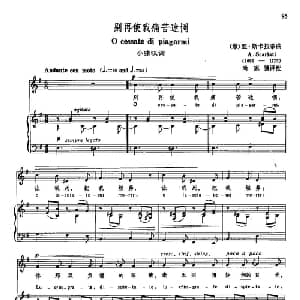 声乐教学曲库3 21别再使我痛苦迷惘 意大利 _外国歌谱_词曲: 亚 斯卡拉蒂