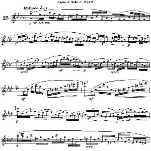 长笛曲谱 | 胡埃斯24首长笛练习曲Op.32 NO.23 胡埃斯