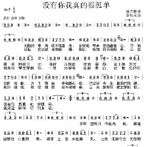 没有你我真的很孤单_通俗唱法乐谱_词曲:孙书林 邵长友