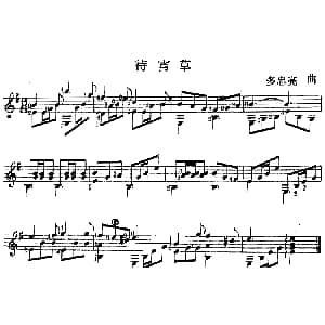 西班牙吉他独奏曲 待宵草 吉他谱 多忠亮