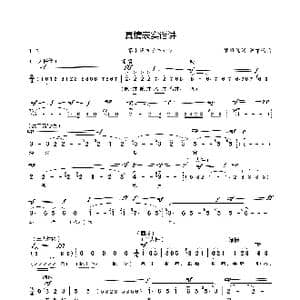 真情表实话讲_歌谱投稿_词曲:罗维佳 罗维佳