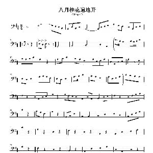 八月桂花遍地开 大提琴五线谱