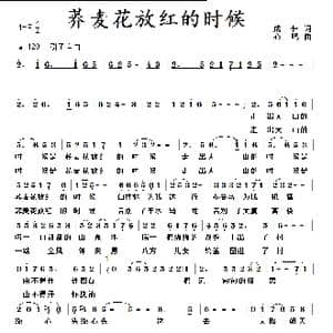 荞麦花放红的时候_歌曲简谱_词曲:成倬 心鸣