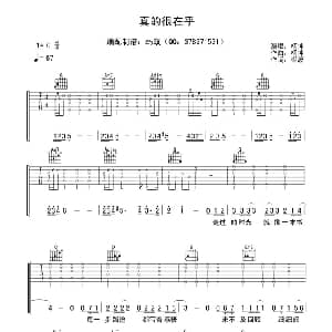真的很在乎 吉他谱 崔恕 杨坤