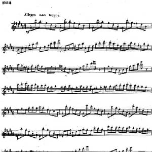 长笛曲谱 | 长笛练习曲100课之第65课 出现大跳音型与低的音练习要点