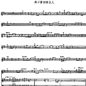 决不信任陌生人 吉他谱