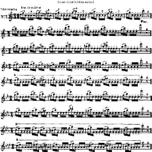 长笛曲谱 | 瑞澈特七首每日长笛练习曲Op.5 NO.7 Reichert 瑞澈特