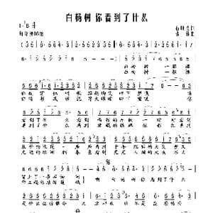白杨树 你看到了什么_歌谱投稿_词曲:石顺义 张伟