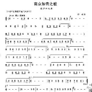 葫芦丝谱 | 南京知青之歌 任毅