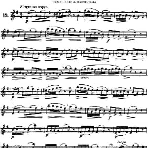 长笛曲谱 | 三十首基础及提高练习曲 NO.19 Garibold 加里波第