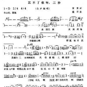 忘不了你呀,三沙_民歌简谱_词曲:童童 建华