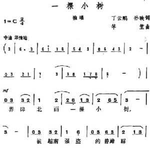 一棵小树_民歌简谱_词曲:丁云鹤 孙映 竽笙