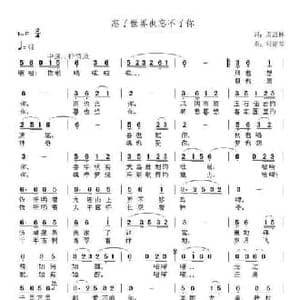 忘了世界也忘不了你_民歌简谱_词曲:萧思林 张提琴
