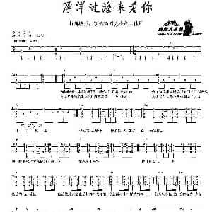 漂洋过海来看你 吉他谱