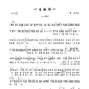 一生的唯一_歌曲简谱_词曲:喜波 喜波