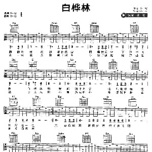 白桦林 吉他谱 朴树 朴树 朴树
