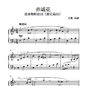 赤诚花 钢琴谱 天真编曲