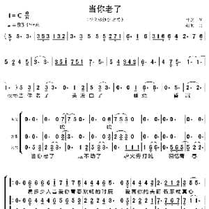 当你老了_歌曲简谱_词曲:叶芝 赵照