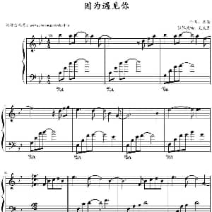 因为遇见你 钢琴谱 王源作曲 文武贝钢琴改编