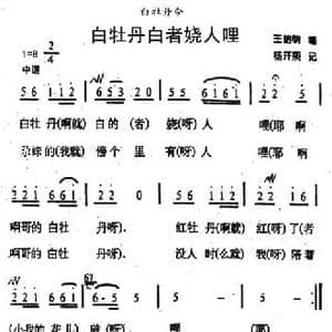 白牡丹白者娆人哩_民歌简谱