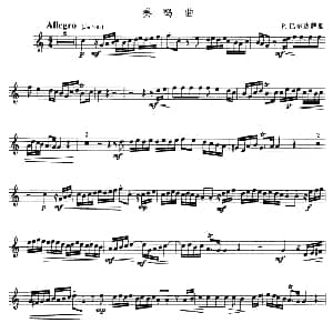 奏鸣曲 小号 P 巴尔达萨里