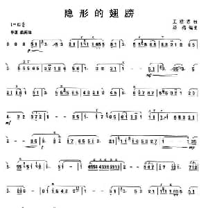笛子谱 | 隐形的翅膀 王雅君