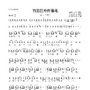 竹篱笆外野菊花_歌曲简谱_词曲:云南十八怪 轻云望月