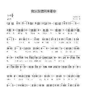 我从弥渡回来看你_歌曲简谱_词曲:陈道斌 刘新太