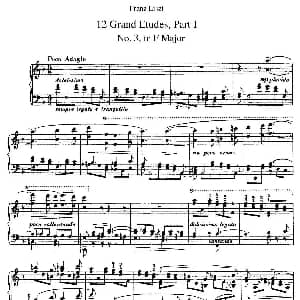 12 Grand Etudes S.137 钢琴谱 弗兰茨 李斯特