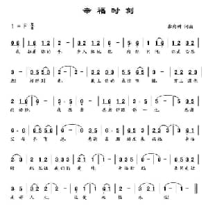 幸福时刻_通俗唱法乐谱_词曲:龚向树 龚向树