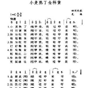 小麦熟了金样黄_民歌简谱