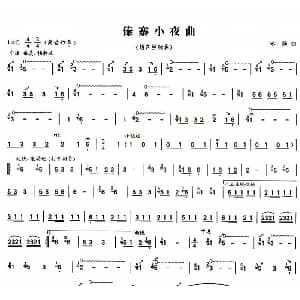 葫芦丝谱 | 傣寨小夜曲 冰融作曲版 冰融