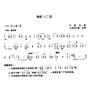 二胡谱 | 农忙十二月 宁夏民歌 王莉莉订谱