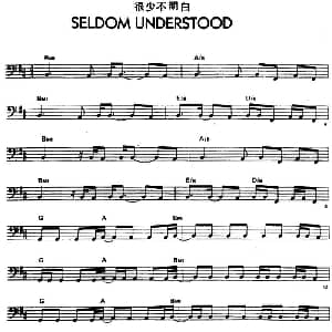 很少不明白 电贝司