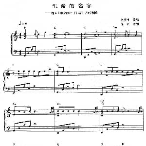 生命的名字 钢琴谱