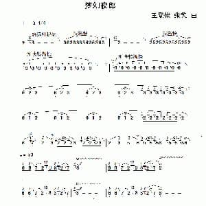 葫芦丝谱 | 梦幻夜郎 王登佳 张笑