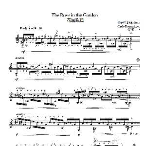 花园玫瑰 _歌谱投稿_词曲: Carlo Domeniconi